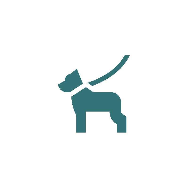 Animaux domestiques acceptés | Hôtel 3 étoiles du Parc à Cavaillon dans le Luberon