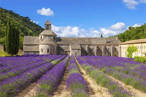 Your hotel in Cavaillon in the Luberon