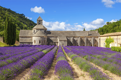 Votre hôtel à Cavaillon dans le Luberon Votre hôtel à Cavaillon dans le Luberon